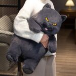 Poe the Grumpy Cat Plushie