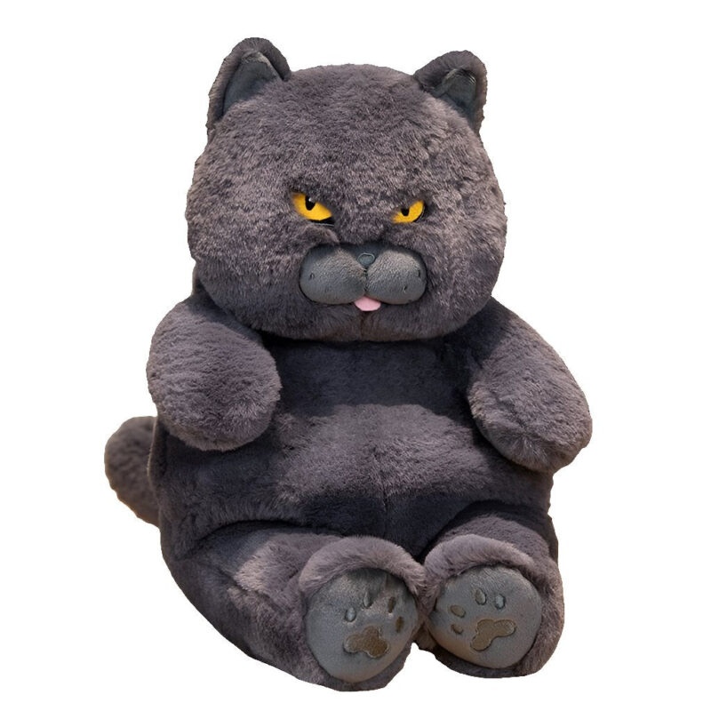 Poe the Grumpy Cat Plushie - Image 17